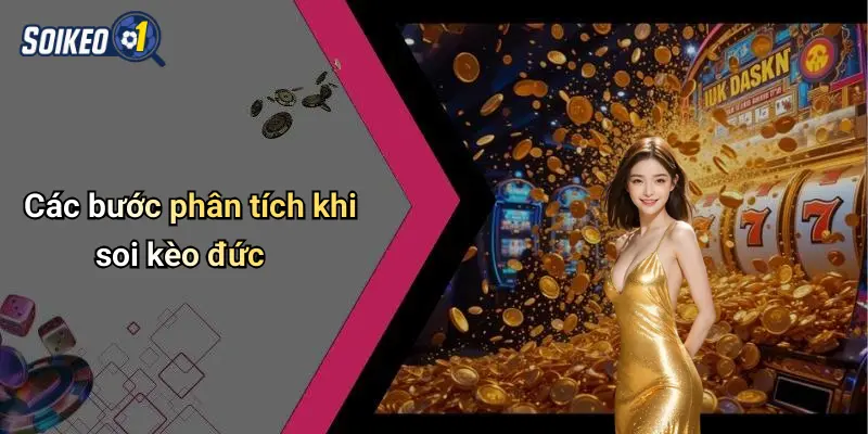 Soi Kèo Đức 2 Các bước phân tích khi soi kèo đức