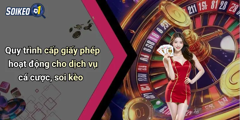 Quy trình cấp giấy phép hoạt động cho dịch vụ cá cược, soi kèo