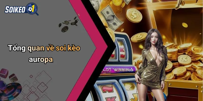 Soi kèo Auropa 1 Tổng quan về soi kèo auropa
