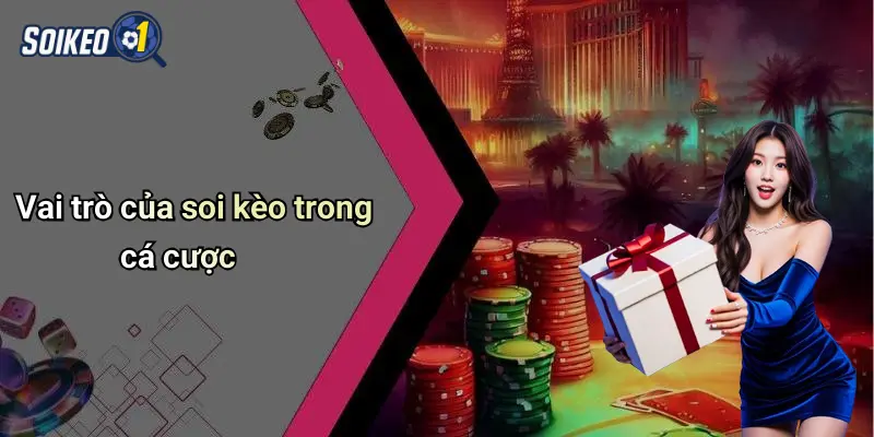 Vai trò của soi kèo trong cá cược