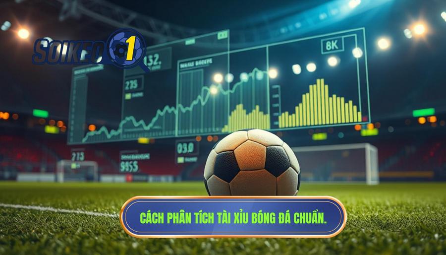 Hiểu đúng về phân tích tài xỉu bóng đá trong cá cược hiện đạiHiểu đúng về phân tích tài xỉu bóng đá trong cá cược hiện đạiHiểu đúng về phân tích tài xỉu bóng đá trong cá cược hiện đại
