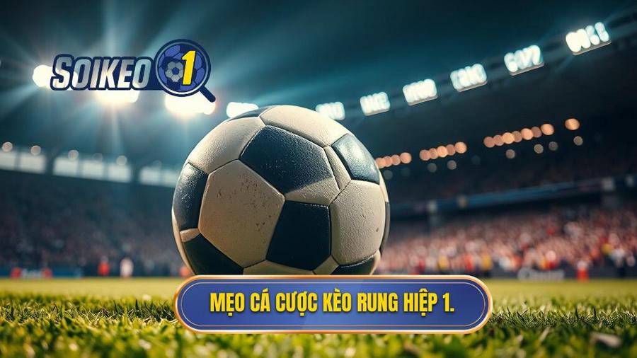 Tổng hợp mẹo cá cược kèo rung hiệp 1 hiệu quả nhất